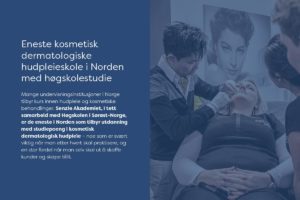 Senzie Akademiet / Typografi