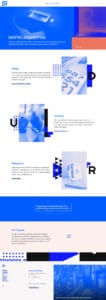 Nettside Trippple / Havdur Design
